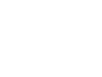 Iphynne Networks